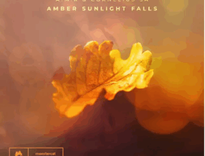 A.M.R & Cornelius SA – Amber Sunlight Falls