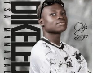 OHP Sage – Dikeledi Tsa Mamazala Ft 015 MusiQ Van City MusiQ