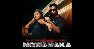 Zoli White Smoke x SmeezyOn The Beat – Ngwanaka Ft Dj Janisto