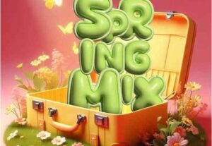 Snow Deep – Spring Mix 2025